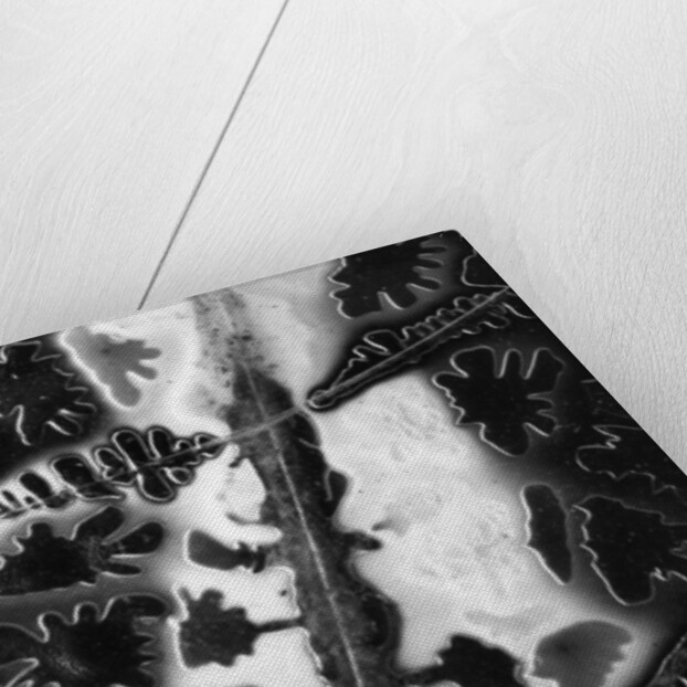 Ice Under Glass by Anonymous