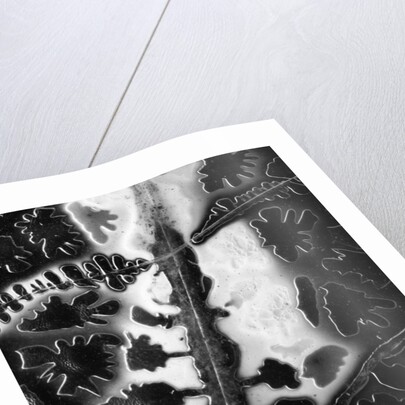 Ice Under Glass by Anonymous