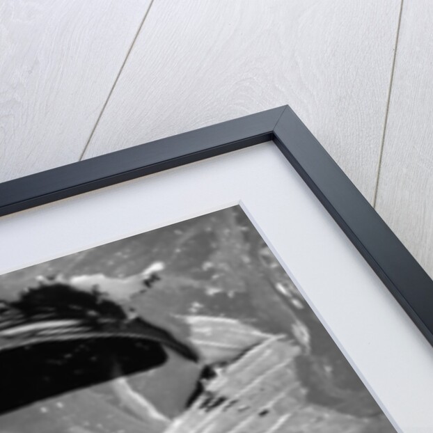 Tide Pool by Brett Weston