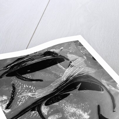 Tide Pool by Brett Weston