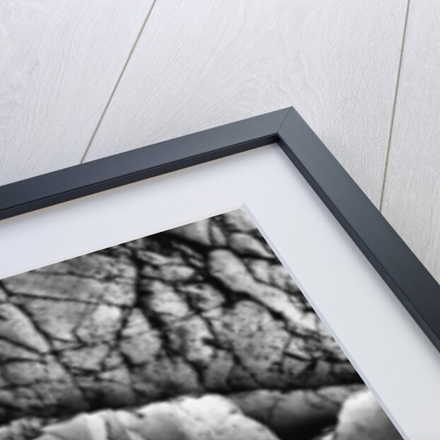 Beach Rocks by Brett Weston
