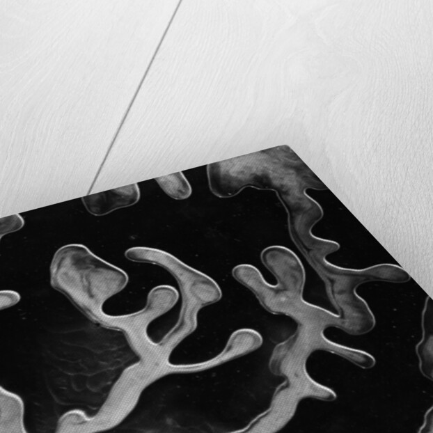 Frozen Liquids by Anonymous