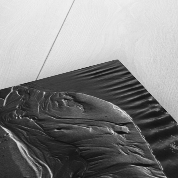 Beach Stream by Brett Weston