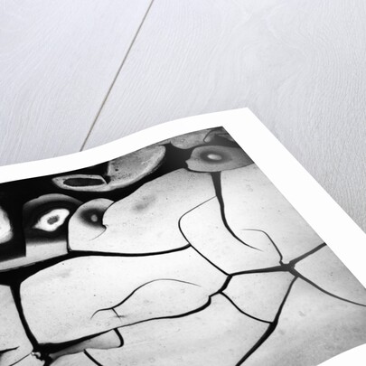 Cracks in Mud by Anonymous