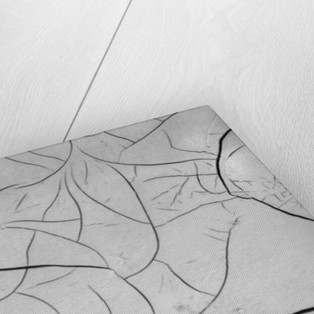 Mud Cracks by Brett Weston