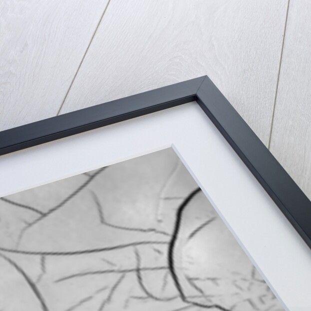 Mud Cracks by Brett Weston