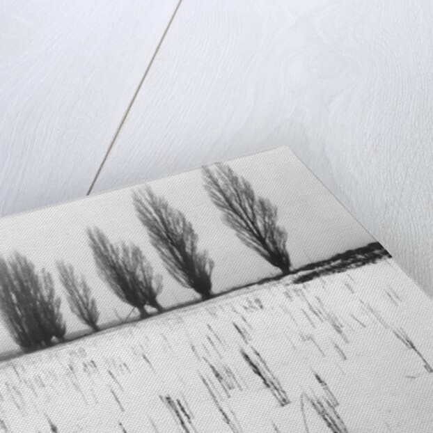 Snowy Landscape by Anonymous