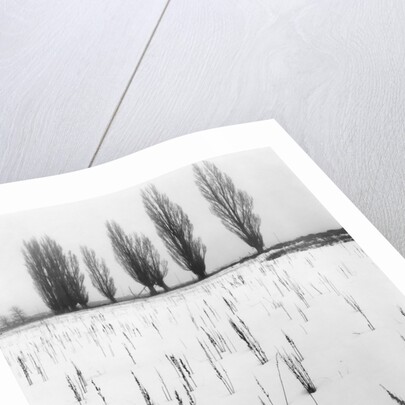 Snowy Landscape by Anonymous