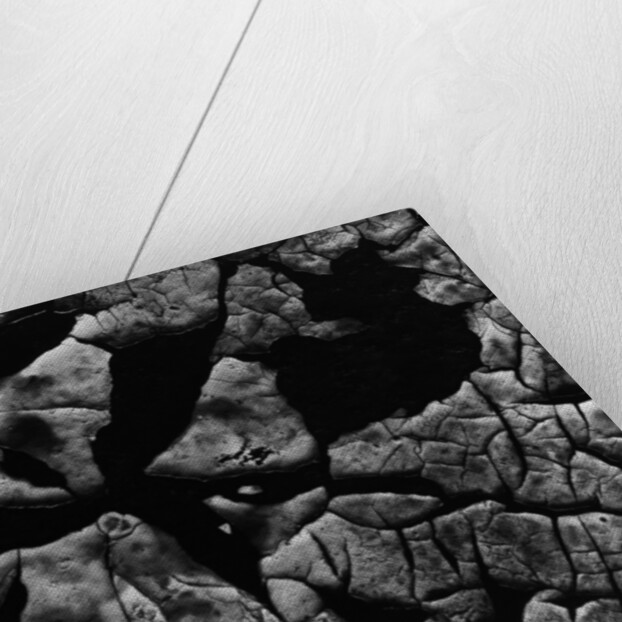 Cracked Surface by Anonymous