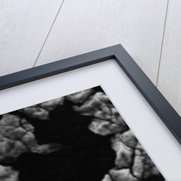 Cracked Surface by Anonymous