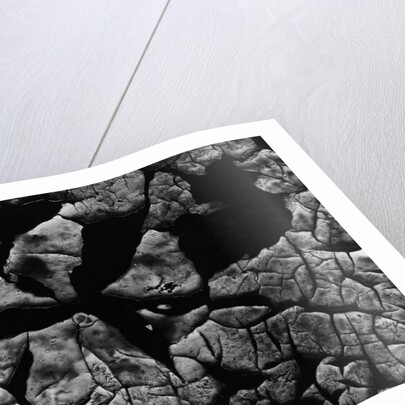 Cracked Surface by Anonymous