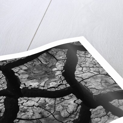 Cracks in Dried Mud by Anonymous