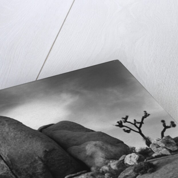 Desert Boulders by Anonymous