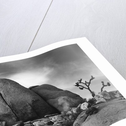 Desert Boulders by Anonymous