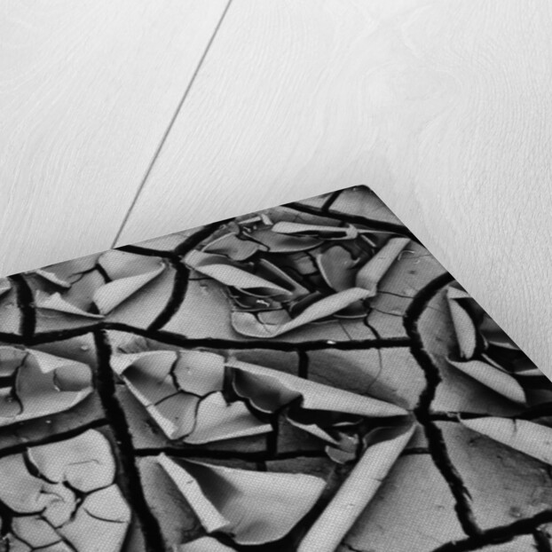 Mud Cracks by Brett Weston