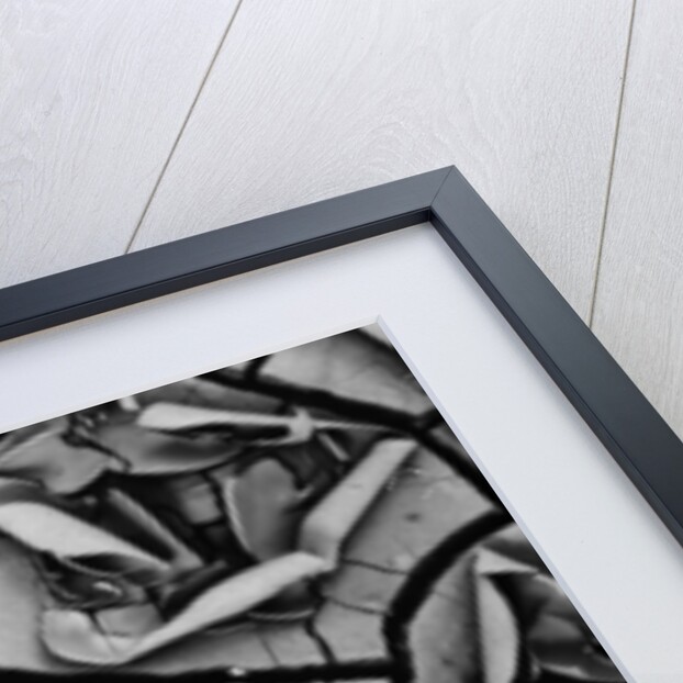 Mud Cracks by Brett Weston
