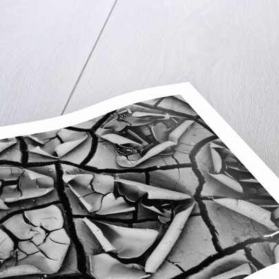 Mud Cracks by Brett Weston