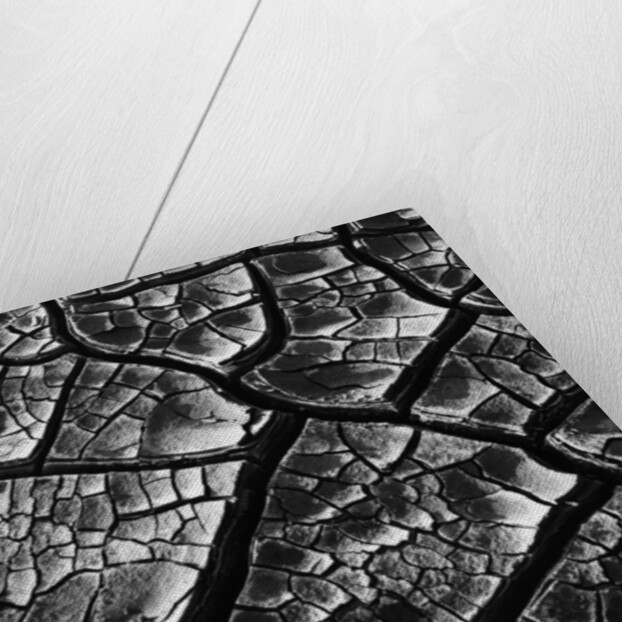 Dry Cracked Mud by Anonymous