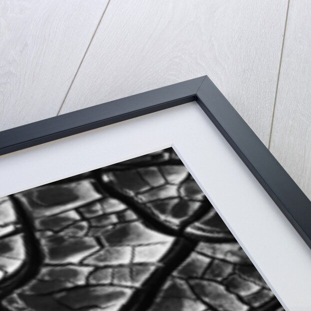 Dry Cracked Mud by Anonymous