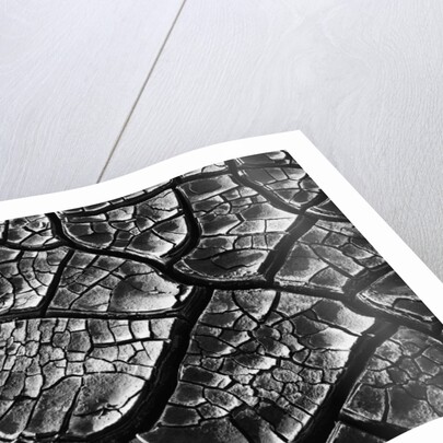 Dry Cracked Mud by Anonymous