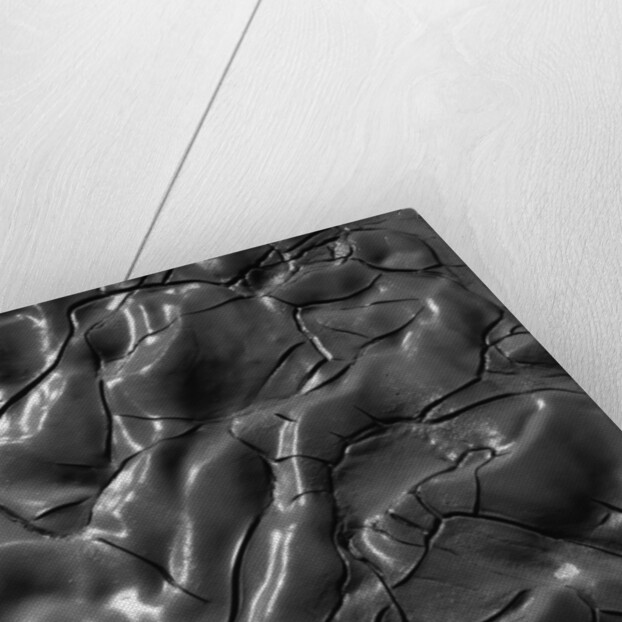 Shiny Wet Mud by Anonymous