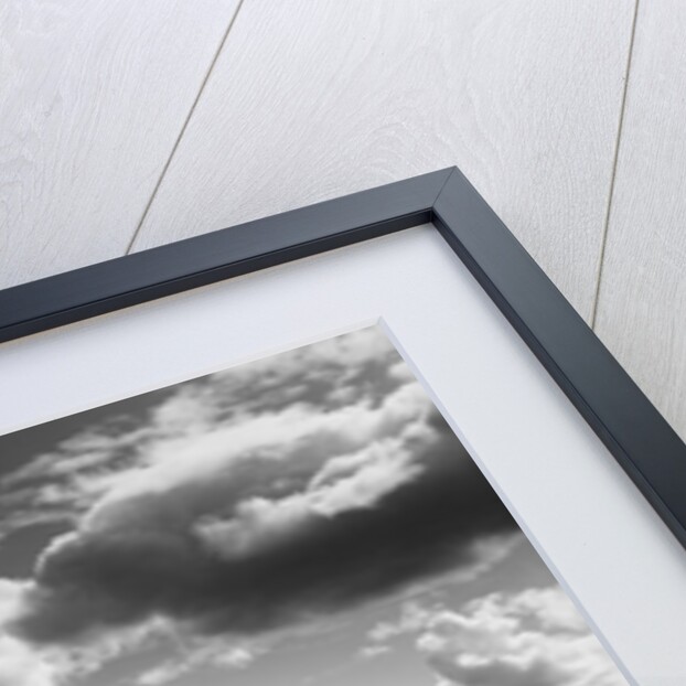 Temple Ruins in Mexico by Brett Weston