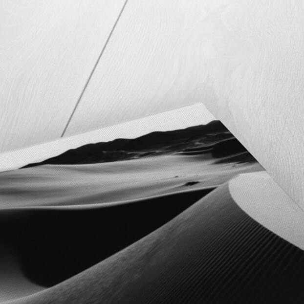 Curvy Ridge of Sand Dunes by Anonymous