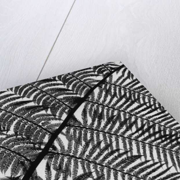 Fern Leaf Silhouette by Anonymous