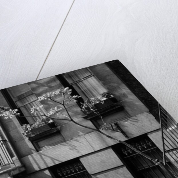 Brownstones by Brett Weston