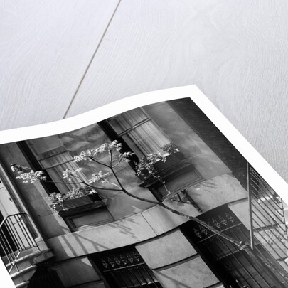 Brownstones by Brett Weston