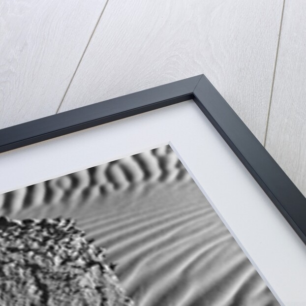 Sand Erosion by Brett Weston