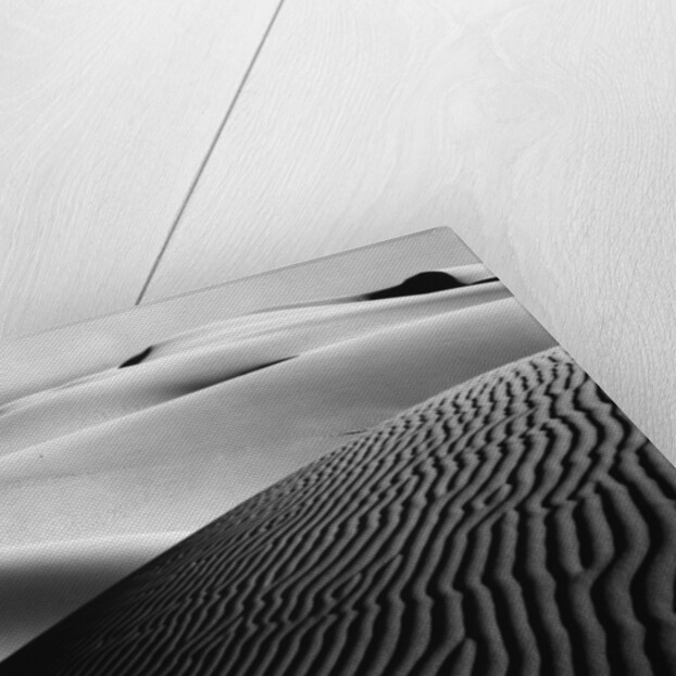 Dune Landscape by Anonymous
