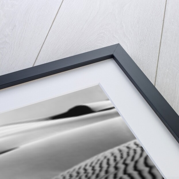 Dune Landscape by Anonymous