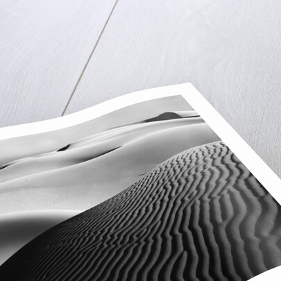 Dune Landscape by Anonymous