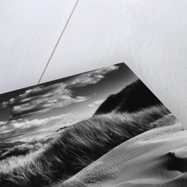 Dunes and Grasses, Oceano, 1957 by Anonymous