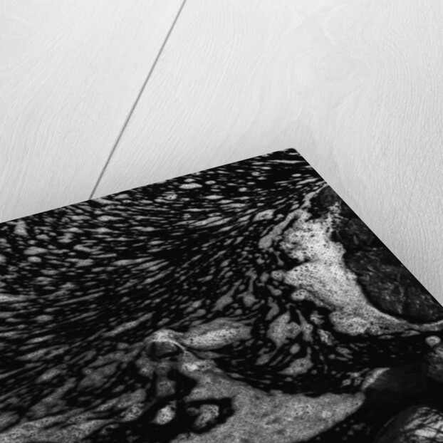 Foam Patterns by Anonymous