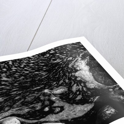 Foam Patterns by Anonymous