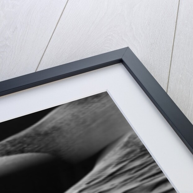 Sand Dunes, Oceano by Brett Weston