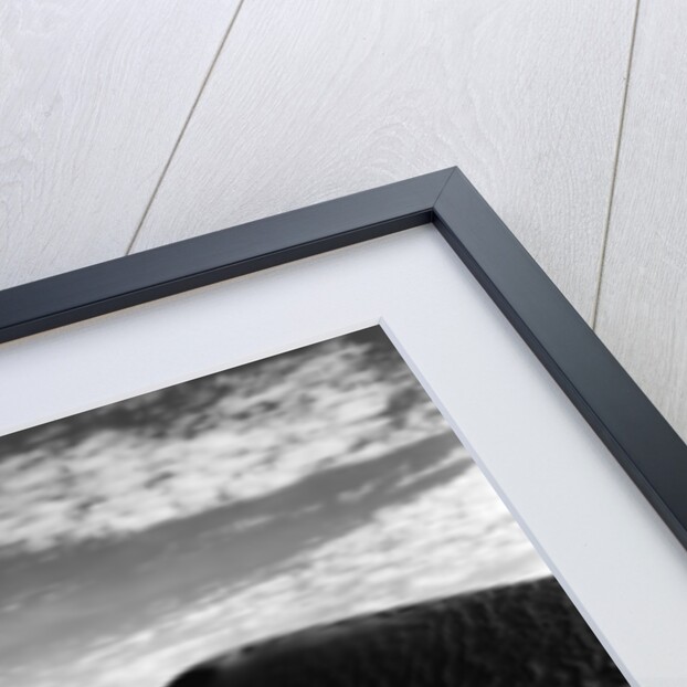 Sand Dunes, Death Valley, 1947 by Anonymous