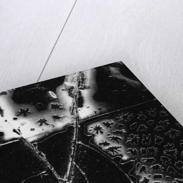 Broken Glass by Brett Weston