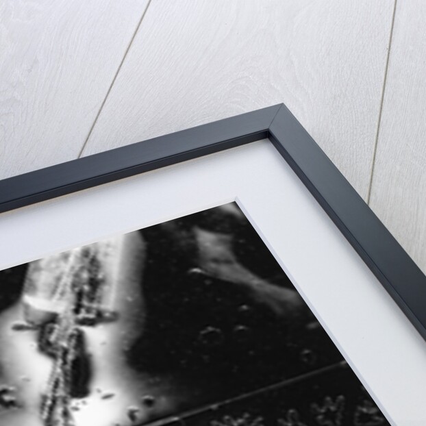 Broken Glass by Brett Weston