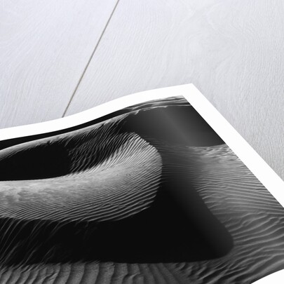 Dune by Anonymous