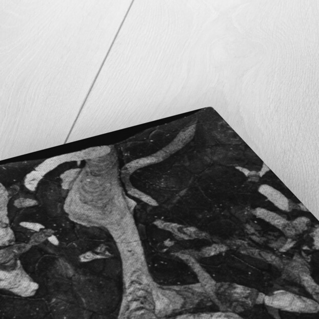 Rock Forms, 1966 by Anonymous