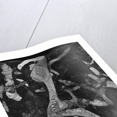Rock Forms, 1966 by Anonymous