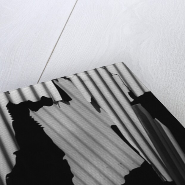 Corrugated Plastic, Alaska, 1973 by Anonymous