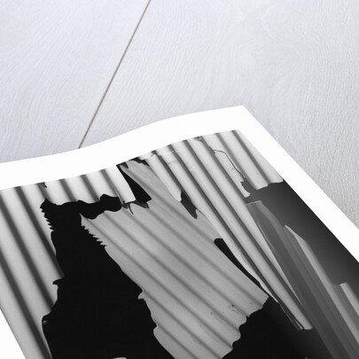 Corrugated Plastic, Alaska, 1973 by Anonymous