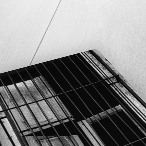 Bars Over Window by Anonymous