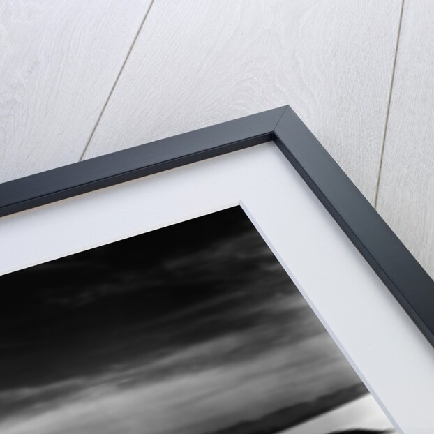Dune by Anonymous