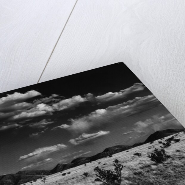 Desert Plain by Anonymous