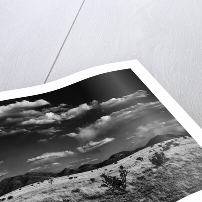 Desert Plain by Anonymous